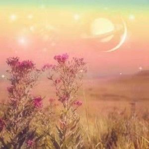 Meet your Posher, ！nina